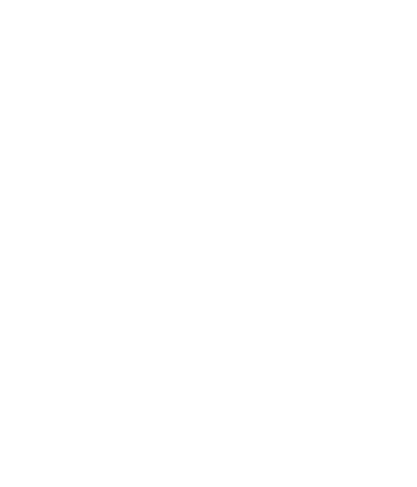 De Romein logo (alternatief)